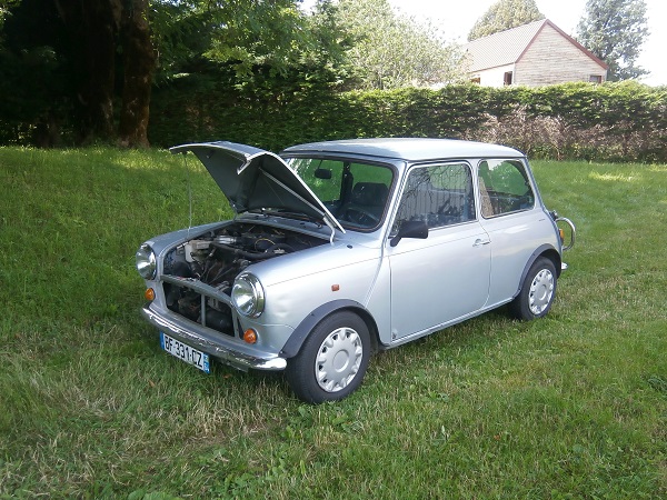 Mini 1991 Révision