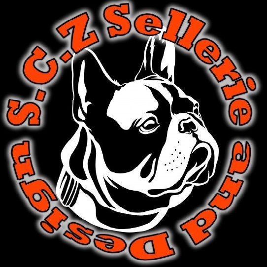 Logo SCZ